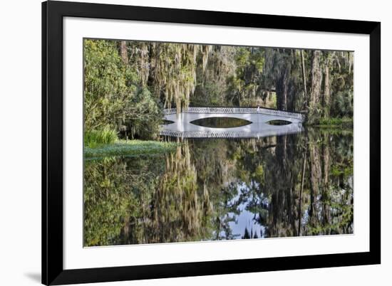 Bridge crossing pond Springtime azalea blooming, Charleston, South Carolina.-Darrell Gulin-Framed Premium Photographic Print