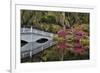Bridge crossing pond Springtime azalea blooming, Charleston, South Carolina.-Darrell Gulin-Framed Premium Photographic Print