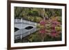 Bridge crossing pond Springtime azalea blooming, Charleston, South Carolina.-Darrell Gulin-Framed Premium Photographic Print