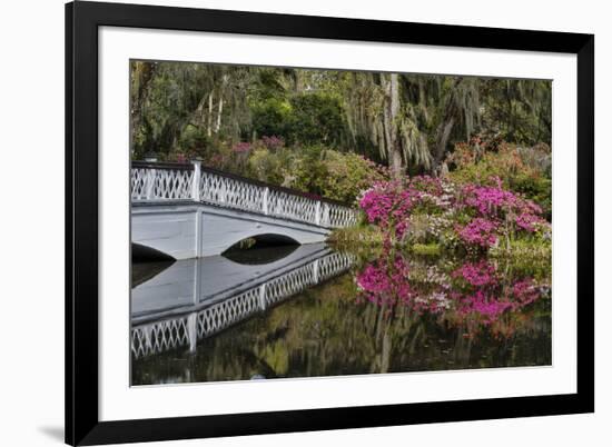 Bridge crossing pond Springtime azalea blooming, Charleston, South Carolina.-Darrell Gulin-Framed Premium Photographic Print