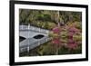 Bridge crossing pond Springtime azalea blooming, Charleston, South Carolina.-Darrell Gulin-Framed Premium Photographic Print