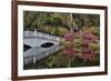Bridge crossing pond Springtime azalea blooming, Charleston, South Carolina.-Darrell Gulin-Framed Photographic Print