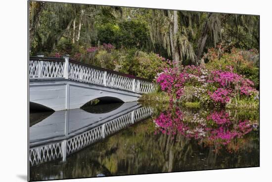Bridge crossing pond Springtime azalea blooming, Charleston, South Carolina.-Darrell Gulin-Mounted Photographic Print