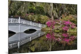 Bridge crossing pond Springtime azalea blooming, Charleston, South Carolina.-Darrell Gulin-Mounted Photographic Print