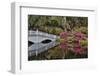 Bridge crossing pond Springtime azalea blooming, Charleston, South Carolina.-Darrell Gulin-Framed Premium Photographic Print