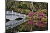 Bridge crossing pond Springtime azalea blooming, Charleston, South Carolina.-Darrell Gulin-Mounted Premium Photographic Print