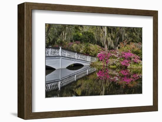 Bridge crossing pond Springtime azalea blooming, Charleston, South Carolina.-Darrell Gulin-Framed Photographic Print