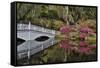 Bridge crossing pond Springtime azalea blooming, Charleston, South Carolina.-Darrell Gulin-Framed Stretched Canvas