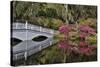 Bridge crossing pond Springtime azalea blooming, Charleston, South Carolina.-Darrell Gulin-Stretched Canvas