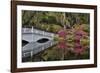 Bridge crossing pond Springtime azalea blooming, Charleston, South Carolina.-Darrell Gulin-Framed Photographic Print