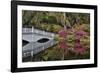 Bridge crossing pond Springtime azalea blooming, Charleston, South Carolina.-Darrell Gulin-Framed Photographic Print