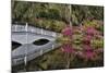 Bridge crossing pond Springtime azalea blooming, Charleston, South Carolina.-Darrell Gulin-Mounted Photographic Print