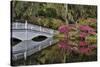 Bridge crossing pond Springtime azalea blooming, Charleston, South Carolina.-Darrell Gulin-Stretched Canvas