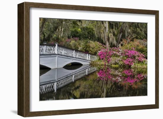 Bridge crossing pond Springtime azalea blooming, Charleston, South Carolina.-Darrell Gulin-Framed Photographic Print