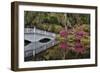 Bridge crossing pond Springtime azalea blooming, Charleston, South Carolina.-Darrell Gulin-Framed Photographic Print