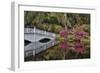 Bridge crossing pond Springtime azalea blooming, Charleston, South Carolina.-Darrell Gulin-Framed Photographic Print