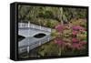 Bridge crossing pond Springtime azalea blooming, Charleston, South Carolina.-Darrell Gulin-Framed Stretched Canvas