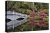 Bridge crossing pond Springtime azalea blooming, Charleston, South Carolina.-Darrell Gulin-Stretched Canvas