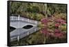 Bridge crossing pond Springtime azalea blooming, Charleston, South Carolina.-Darrell Gulin-Framed Stretched Canvas