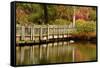 Bridge, Crystal Springs Lake, Rhododendron Garden, Portland, Oregon-Michel Hersen-Framed Stretched Canvas
