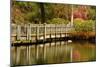 Bridge, Crystal Springs Lake, Rhododendron Garden, Portland, Oregon-Michel Hersen-Mounted Photographic Print