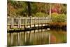 Bridge, Crystal Springs Lake, Rhododendron Garden, Portland, Oregon-Michel Hersen-Mounted Photographic Print