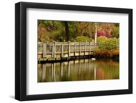 Bridge, Crystal Springs Lake, Rhododendron Garden, Portland, Oregon-Michel Hersen-Framed Photographic Print