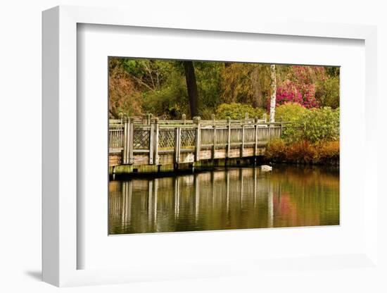 Bridge, Crystal Springs Lake, Rhododendron Garden, Portland, Oregon-Michel Hersen-Framed Photographic Print