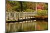 Bridge, Crystal Springs Lake, Rhododendron Garden, Portland, Oregon-Michel Hersen-Mounted Photographic Print