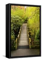 Bridge, Crystal Springs Rhododendron Garden, Portland, Oregon, Usa-Michel Hersen-Framed Stretched Canvas