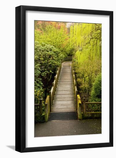 Bridge, Crystal Springs Rhododendron Garden, Portland, Oregon, Usa-Michel Hersen-Framed Photographic Print