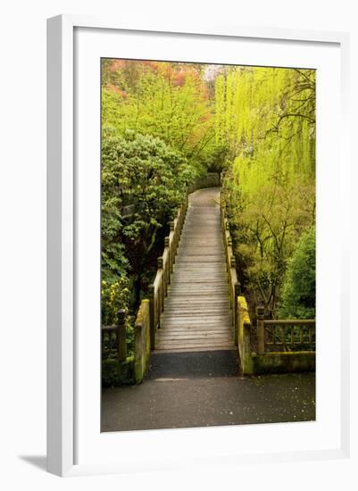 Bridge, Crystal Springs Rhododendron Garden, Portland, Oregon, Usa-Michel Hersen-Framed Photographic Print