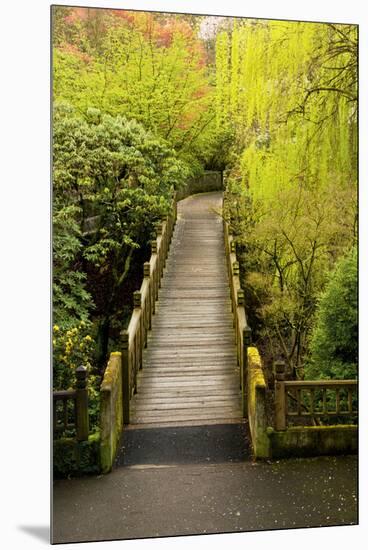Bridge, Crystal Springs Rhododendron Garden, Portland, Oregon, Usa-Michel Hersen-Mounted Premium Photographic Print