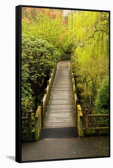 Bridge, Crystal Springs Rhododendron Garden, Portland, Oregon, Usa-Michel Hersen-Framed Stretched Canvas