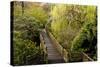 Bridge, Crystal Springs Rhododendron Garden, Portland, Oregon, Usa-Michel Hersen-Stretched Canvas