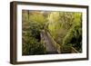 Bridge, Crystal Springs Rhododendron Garden, Portland, Oregon, Usa-Michel Hersen-Framed Photographic Print