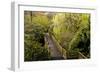 Bridge, Crystal Springs Rhododendron Garden, Portland, Oregon, Usa-Michel Hersen-Framed Photographic Print