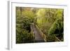 Bridge, Crystal Springs Rhododendron Garden, Portland, Oregon, Usa-Michel Hersen-Framed Photographic Print