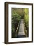 Bridge, Crystal Springs Rhododendron Garden, Portland, Oregon, Usa-Michel Hersen-Framed Photographic Print