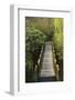 Bridge, Crystal Springs Rhododendron Garden, Portland, Oregon, Usa-Michel Hersen-Framed Photographic Print