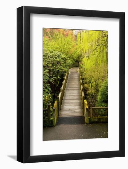 Bridge, Crystal Springs Rhododendron Garden, Portland, Oregon, Usa-Michel Hersen-Framed Photographic Print