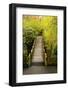 Bridge, Crystal Springs Rhododendron Garden, Portland, Oregon, Usa-Michel Hersen-Framed Photographic Print