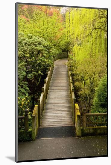 Bridge, Crystal Springs Rhododendron Garden, Portland, Oregon, Usa-Michel Hersen-Mounted Photographic Print