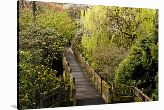 Bridge, Crystal Springs Rhododendron Garden, Portland, Oregon, Usa-Michel Hersen-Stretched Canvas