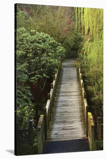 Bridge, Crystal Springs Rhododendron Garden, Portland, Oregon, Usa-Michel Hersen-Stretched Canvas