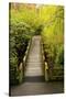 Bridge, Crystal Springs Rhododendron Garden, Portland, Oregon, Usa-Michel Hersen-Stretched Canvas