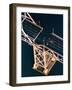 Bridge Damaged during Loma Prieta Earthquake-null-Framed Photographic Print