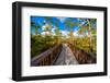 Bridge in A Forest-CelsoDiniz-Framed Photographic Print