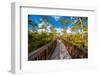 Bridge in A Forest-CelsoDiniz-Framed Photographic Print