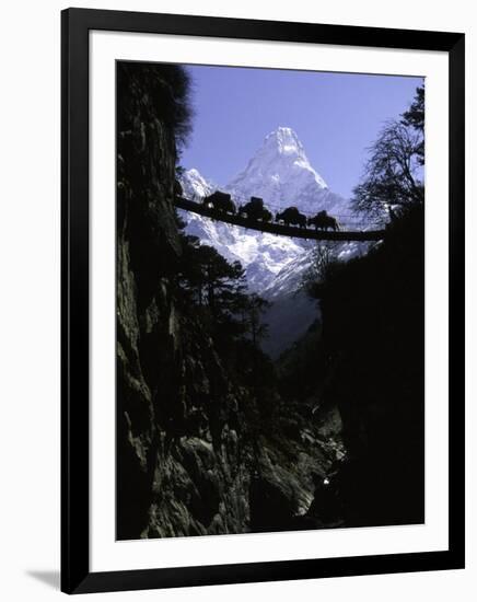 Bridge in Ama Dablam, Nepal-Michael Brown-Framed Premium Photographic Print